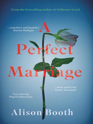 cover image of Perfect Marriage